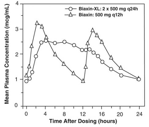 Steady-State Clarithromycin Plasma  Concentration-Time Profiles - Illustration